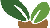 شركة نبتة – عمان